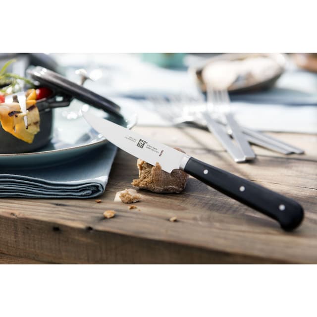 Zwilling Grillausvälineet 4 p