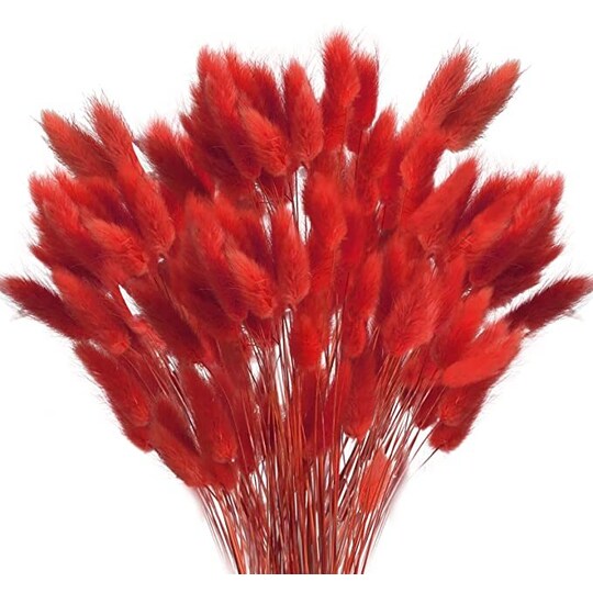 Luonnollinen kuivattu salvia koristeeksi 20 kpl Punainen - Gigantti  verkkokauppa