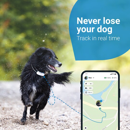 Tractive Dog LTE GPS koirapaikannin (lumi) - Gigantti verkkokauppa