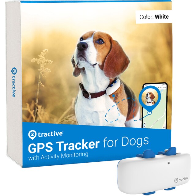 Tractive Dog LTE GPS paikannin koiralle (lumi)