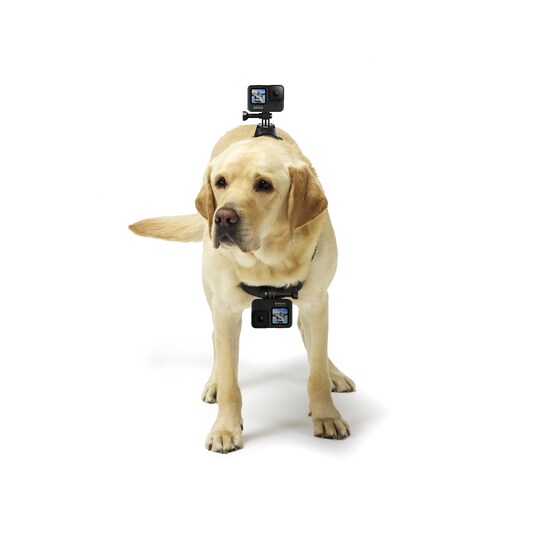 GoPro Fetch koiran valjaat - Gigantti verkkokauppa